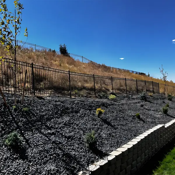 ORNAMENTAL IRON 2